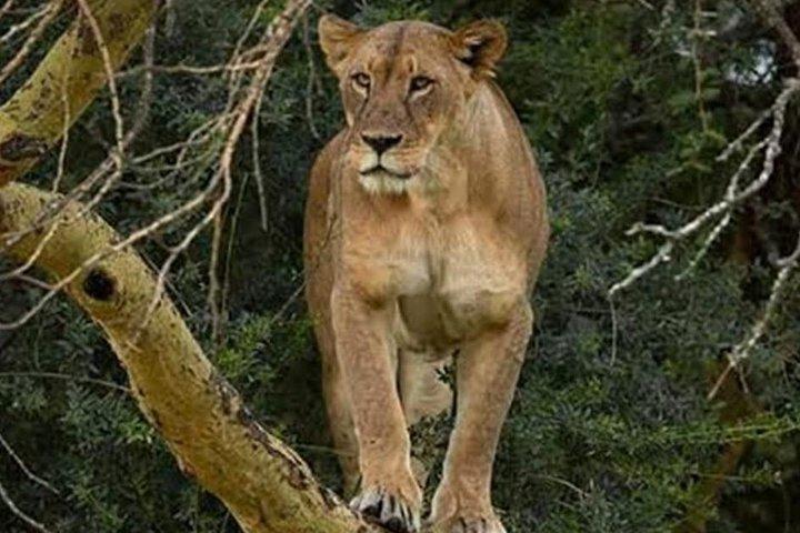 2 days L.Nakuru, L.Naivasha & Crescent Island tour From Nairobi