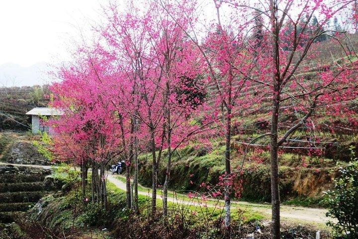 Sapa 2D1N Trekking to Giang Ta Chai Village from Hanoi by Bus