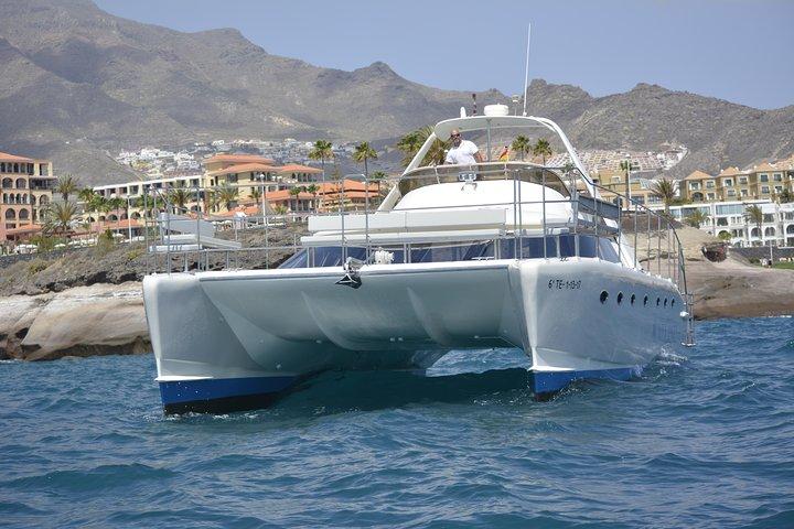 Tenerife Whale Watching Catamaran Cruise with Transfer and Buffet