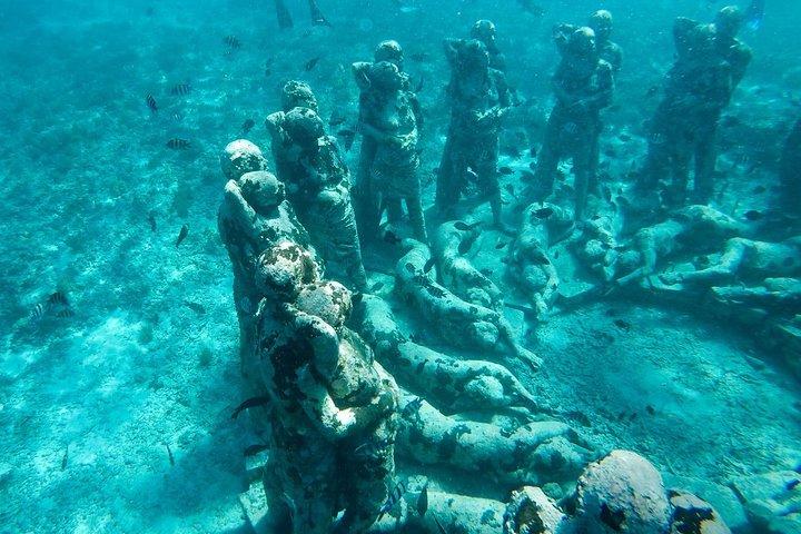 From Gili Trawangan & Gili Air Snorkeling Trip Sharing & Private