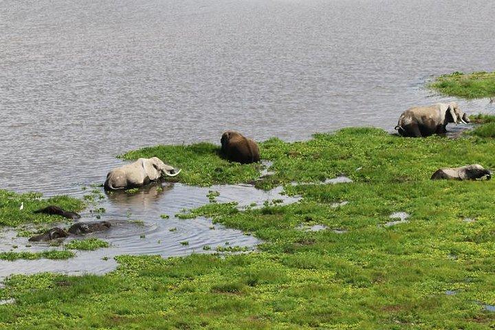 Private 9 Days Kenya Classic Lodge Safari