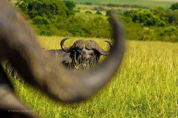 3 days Maasai Mara private safari at Sopa Lodge from Nairobi