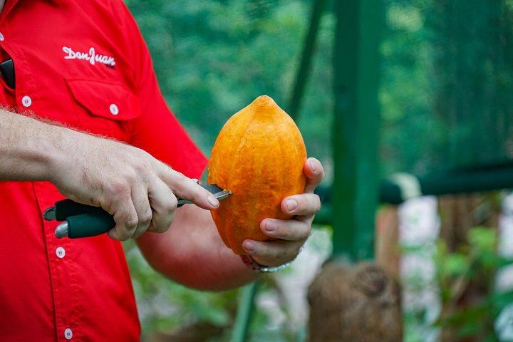 Coffee and Chocolate Tour in La Fortuna