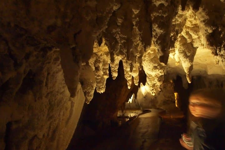 Waitomo Glowworm Caves In a Private Small Group Tour-Auckland.