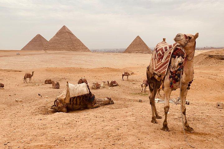 Grand Egyptian Museum & Giza Pyramids with Lunch Egypt Tours