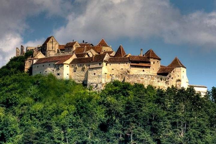 Bear Sanctuary & Rasnov Fortress - Private day tour from Bucharest