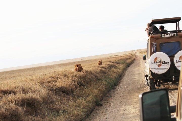 7-Day Premium Luxury Tanzania Safari All-Inclusive