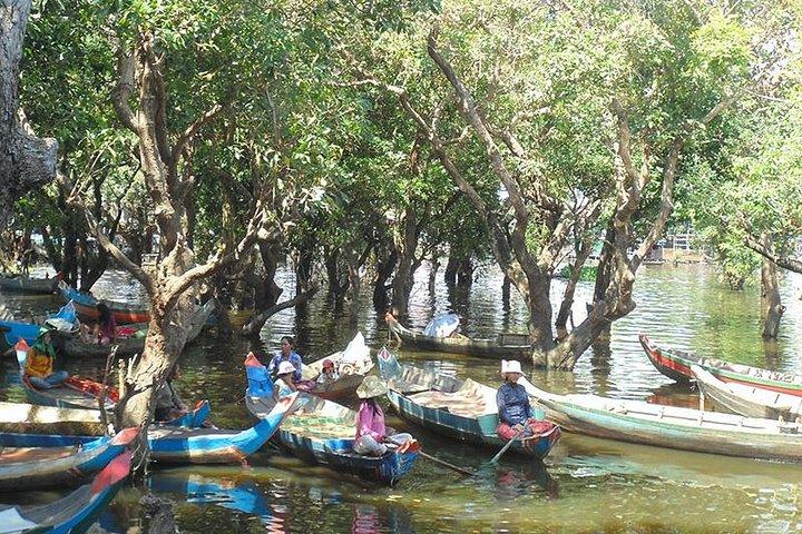 Kompong Phluk Mangroves & Stilt House Village