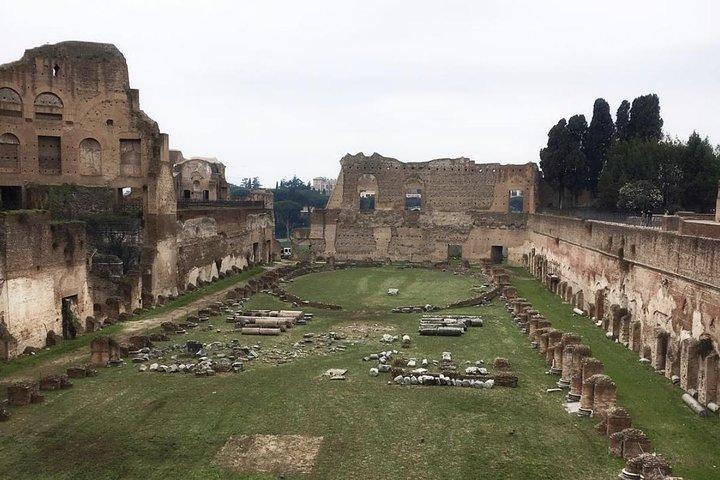 Colosseum, Forum and Palatine Hill small group tour