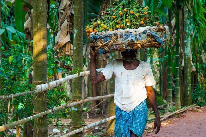 Dudhsagar waterfall wildlife & spice plantation Tour in Goa