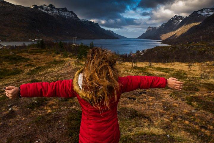 Arctic Nature Tour from Tromsø by minibus