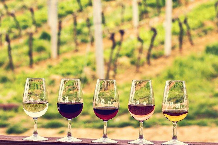 Bordeaux Cruise Port Shore Excursion: Full-Day Private Medoc Wine Tour