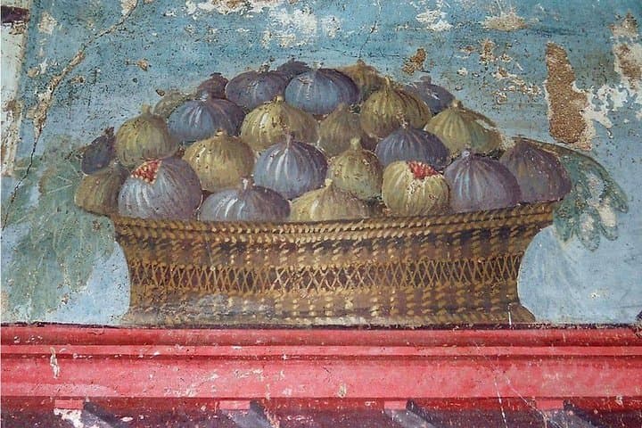 Private Guided Tour of Pompeii and Herculaneum