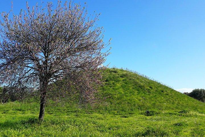 Marathon, Thermopylae/ Herodotus History private tour (9 hours)