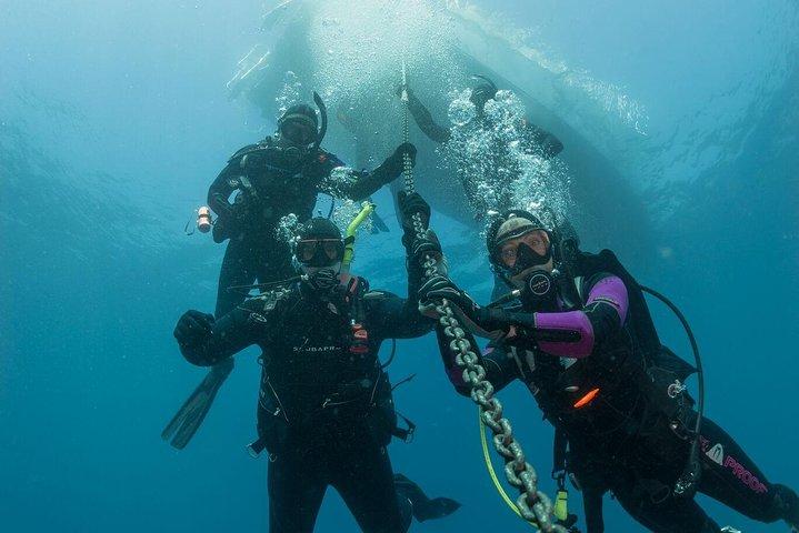 Fun Dives For Certified Divers