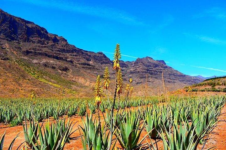 Fuerteventura from Lanzarote