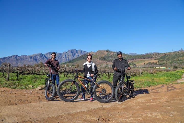 Cape Town: E-bike Wineland tour half-day