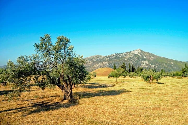 Marathon, Thermopylae, Thebes/Plataea, Herodotus Private Tour 10h