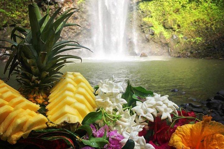 Wailua River & Waterfalls Kayak Tour: Expert-Guided Adventure