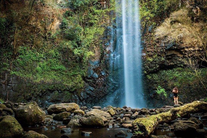 Wailua River & Waterfalls Kayak Tour: Expert-Guided Adventure