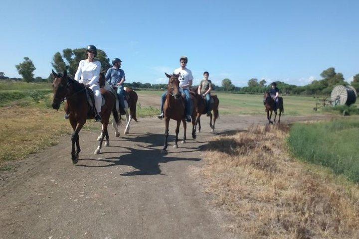Rome : Horseback Riding with meals and wine included