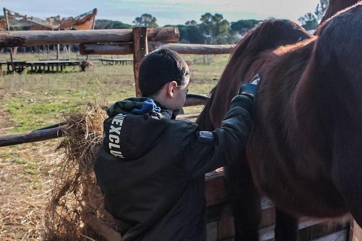 Rome : Horseback Riding with meals and wine included