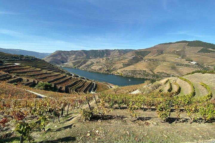 Douro Valley and Porto from Lisbon - Wine and Cheese Tasting