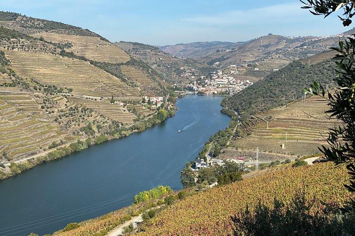 Douro Valley and Porto from Lisbon - Wine and Cheese Tasting