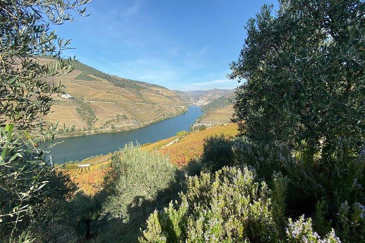 Douro Valley and Porto from Lisbon - Wine and Cheese Tasting