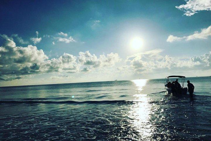 Immersive dolphin and whale watching mission on a secret boat – Trincomalee