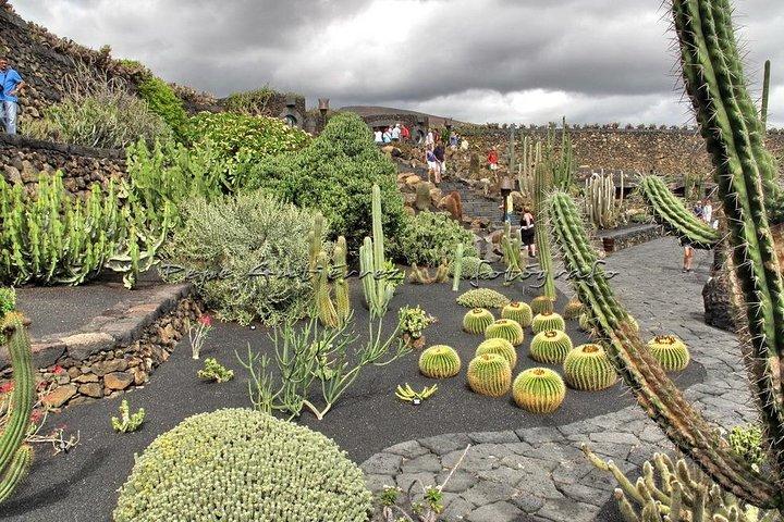 Las Palmas, Botanical Garden & Bandama Crater tour - Gran Canaria