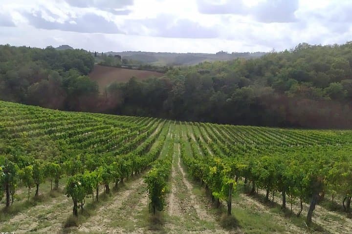 Siena and San Gimignano from Rome: Wine Tasting Tour in Tuscany