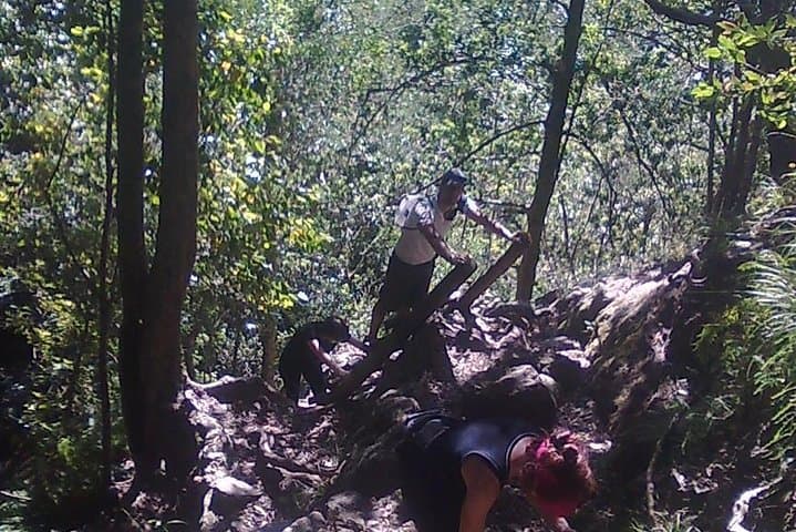 Skeleton Gorge to Maclears Beacon. Table Mountain hike