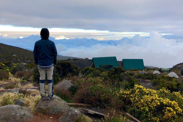 Kilimanjaro: Marangu Route