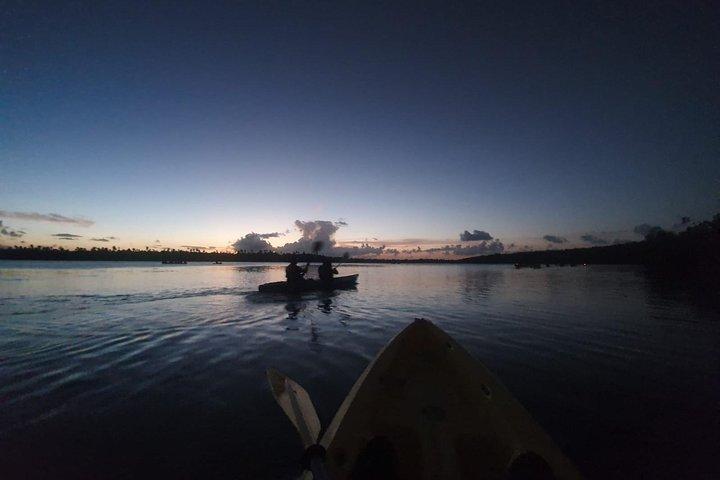 Bioluminescent Bay Night Kayaking, Fajardo 7:30pm