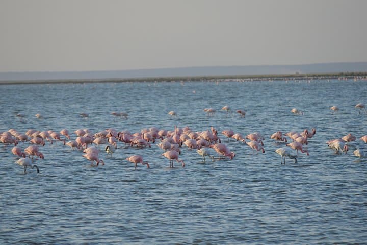 2 Days Amboseli National Park Safari
