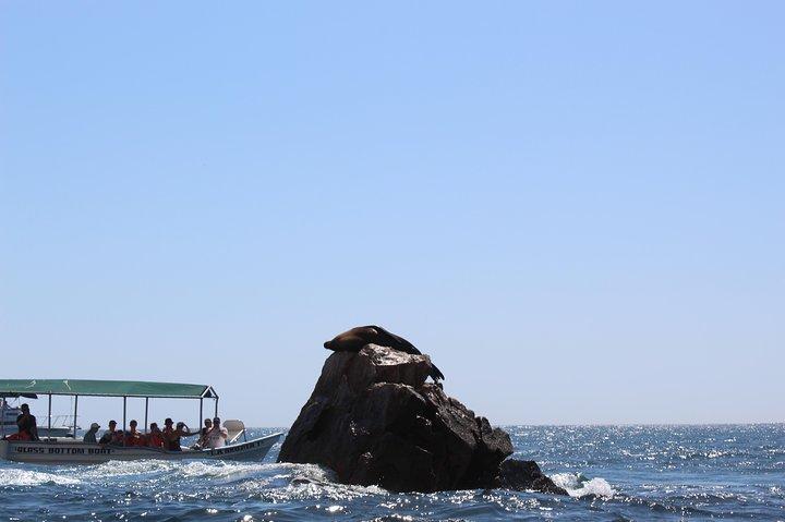 Land's End and Snorkel Tour in a Glass Bottom Boat