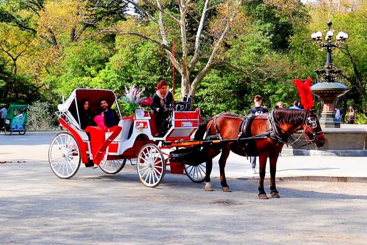 Horse Carriage Ride with Tavern on the Green Pick-Up & Drop-Off