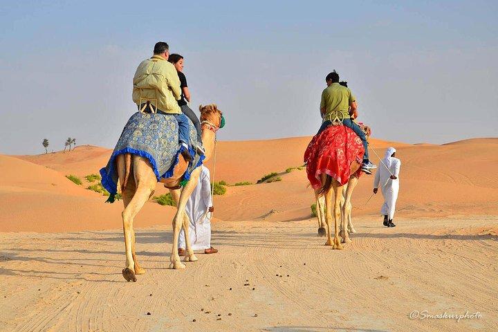 Premium Morning Desert Safari in 4x4 Private Vehicle Up To 6 Pax