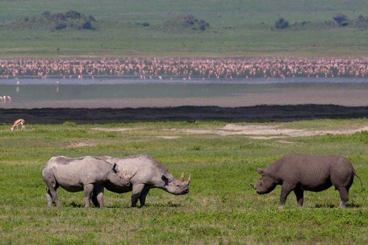 Safari "Serengeti" - 5 days in the most famous Parks in the world