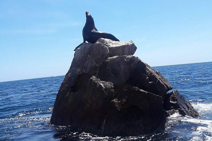 Land's End and Snorkel Tour in a Glass Bottom Boat