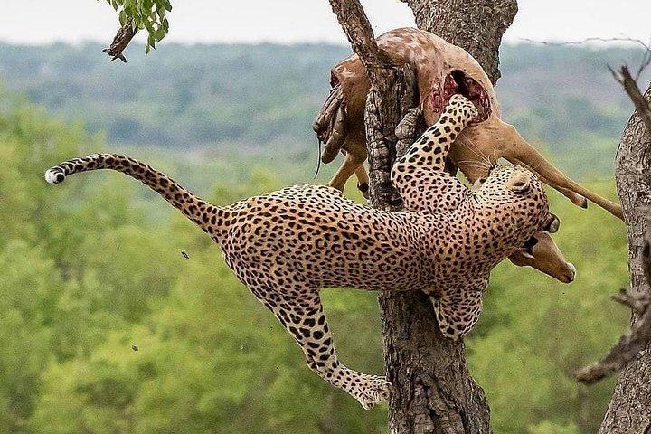 3-Day Lodge Safari-Tarangire, Manyara, Ngorongoro Crater