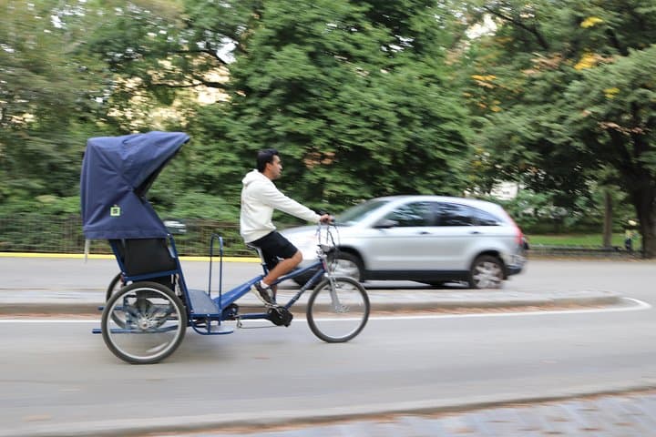 Central Park VIP Tour (All park tour up to 2 hour with unlimited stops) pedicab