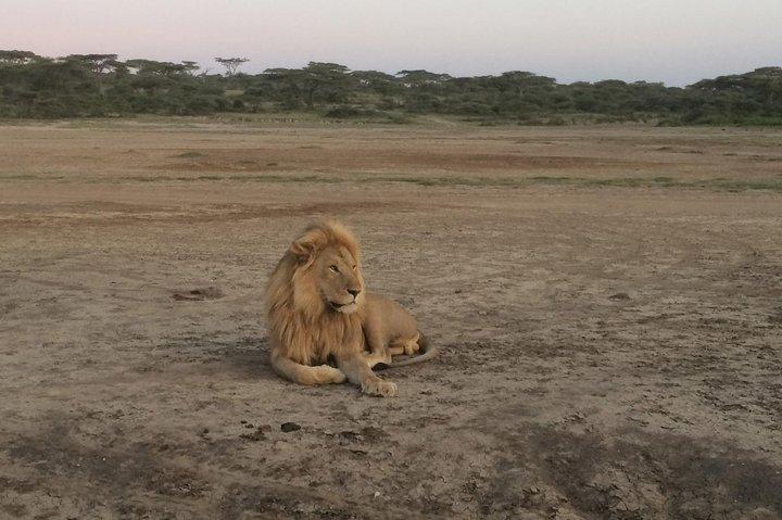 1 Day Lake Manyara Day Trip