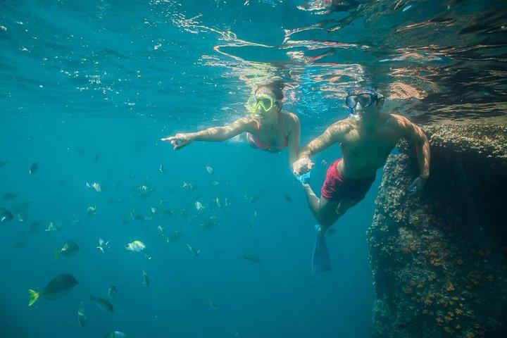 Land's End and Snorkel Tour in a Glass Bottom Boat