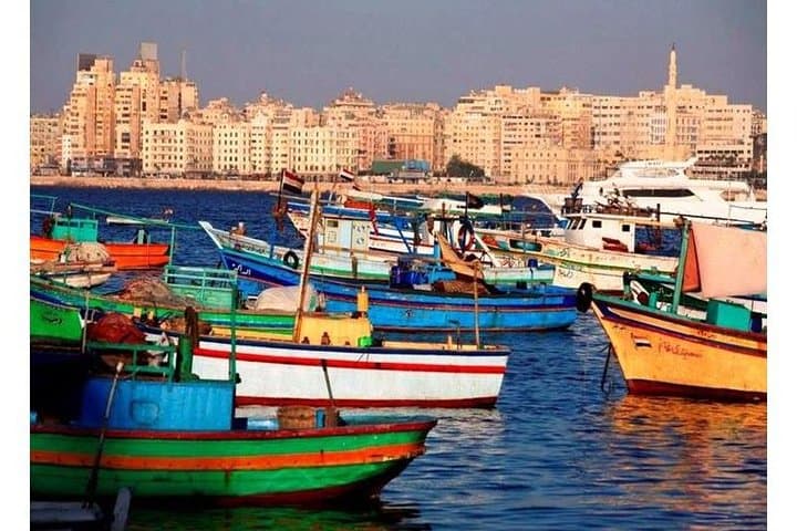 Day Tour to Alexandria From Cairo
