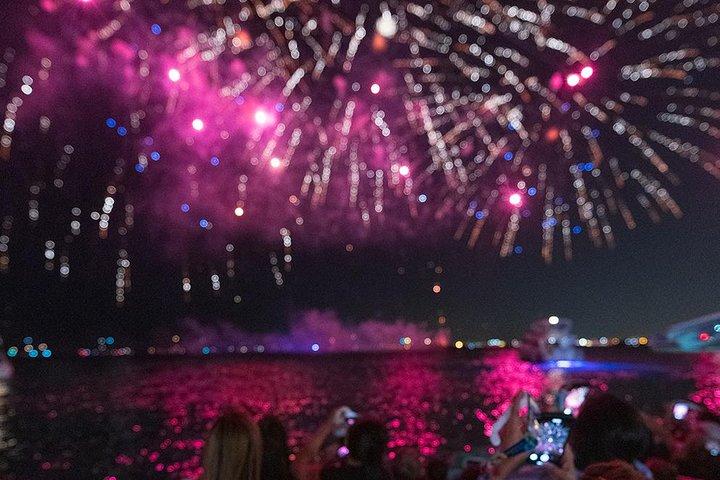 Chicago 3D Fireworks Cruise