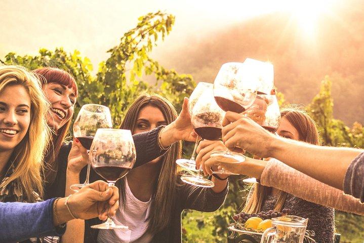 Mount Tamborine Winery Tour with Gourmet lunch from Gold Coast