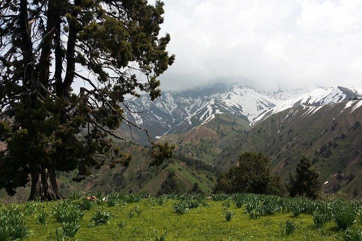 3-Day Chimgan Trekking Tour