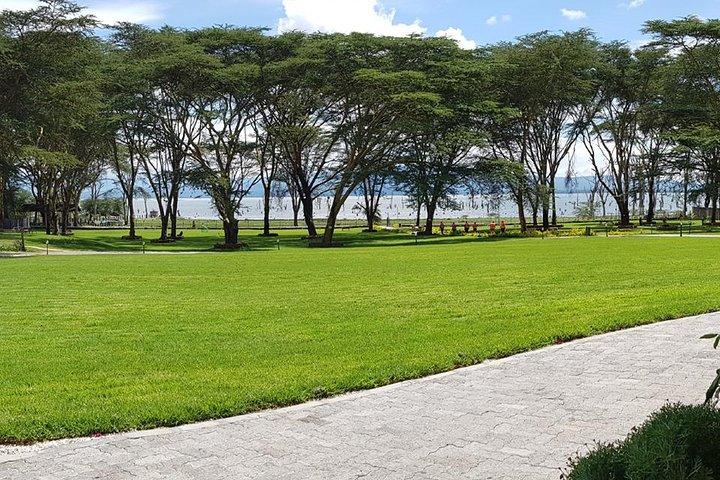 Half day mini safari to Naivasha